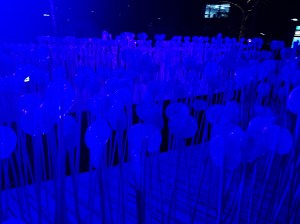 Lumiere London 2018 Jokermatt