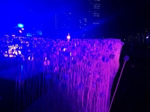 Lumiere London 2018 Jokermatt