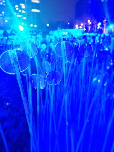 Lumiere London 2018 Jokermatt