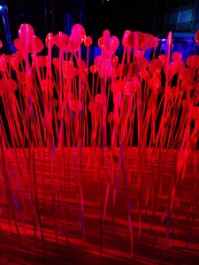 Lumiere London 2018 Jokermatt