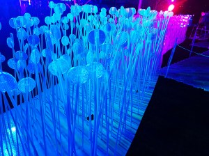 Lumiere London 2018 Jokermatt