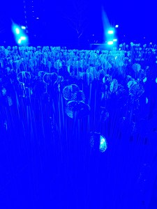 Lumiere London 2018 Jokermatt