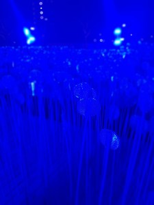 Lumiere London 2018 Jokermatt