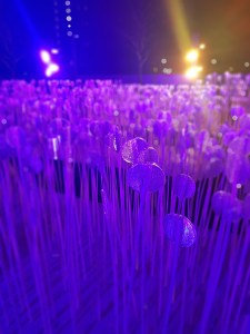 Lumiere London 2018 Jokermatt