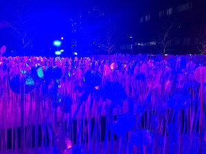 Lumiere London 2018 Jokermatt