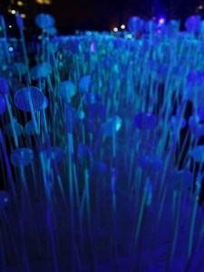 Lumiere London 2018 Jokermatt